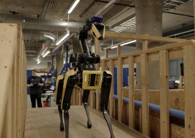 robot dog